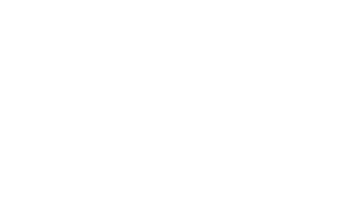 ONLINE CASINO DOLLAR
