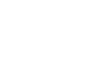 CASINO FOR VIPS